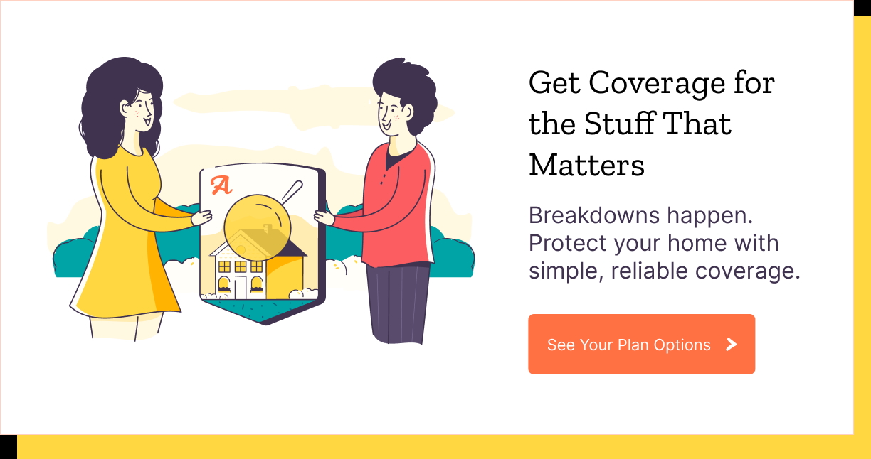 Get Covered With Armadillo