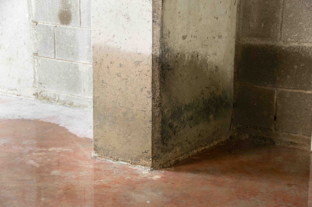 Flooded Basement Repair Costs Causes Coverage 2 1024x681