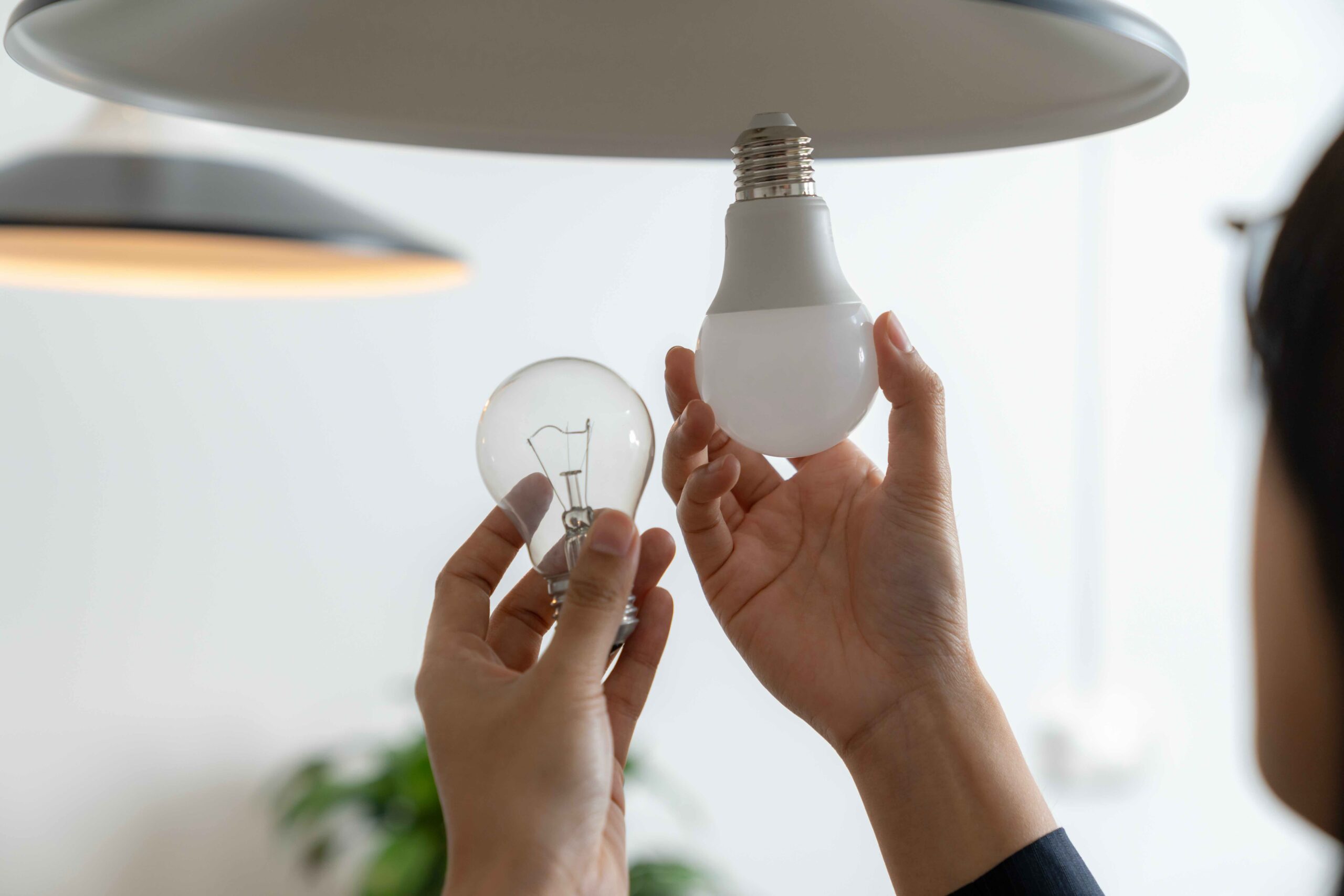 Incandescent Light Bulbs What Homeowners Need to Know scaled