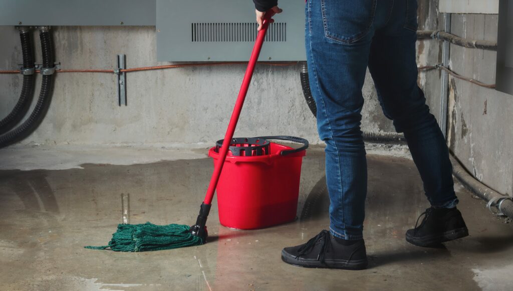 Water in the Basement What Every Homeowner Must Know 1024x582