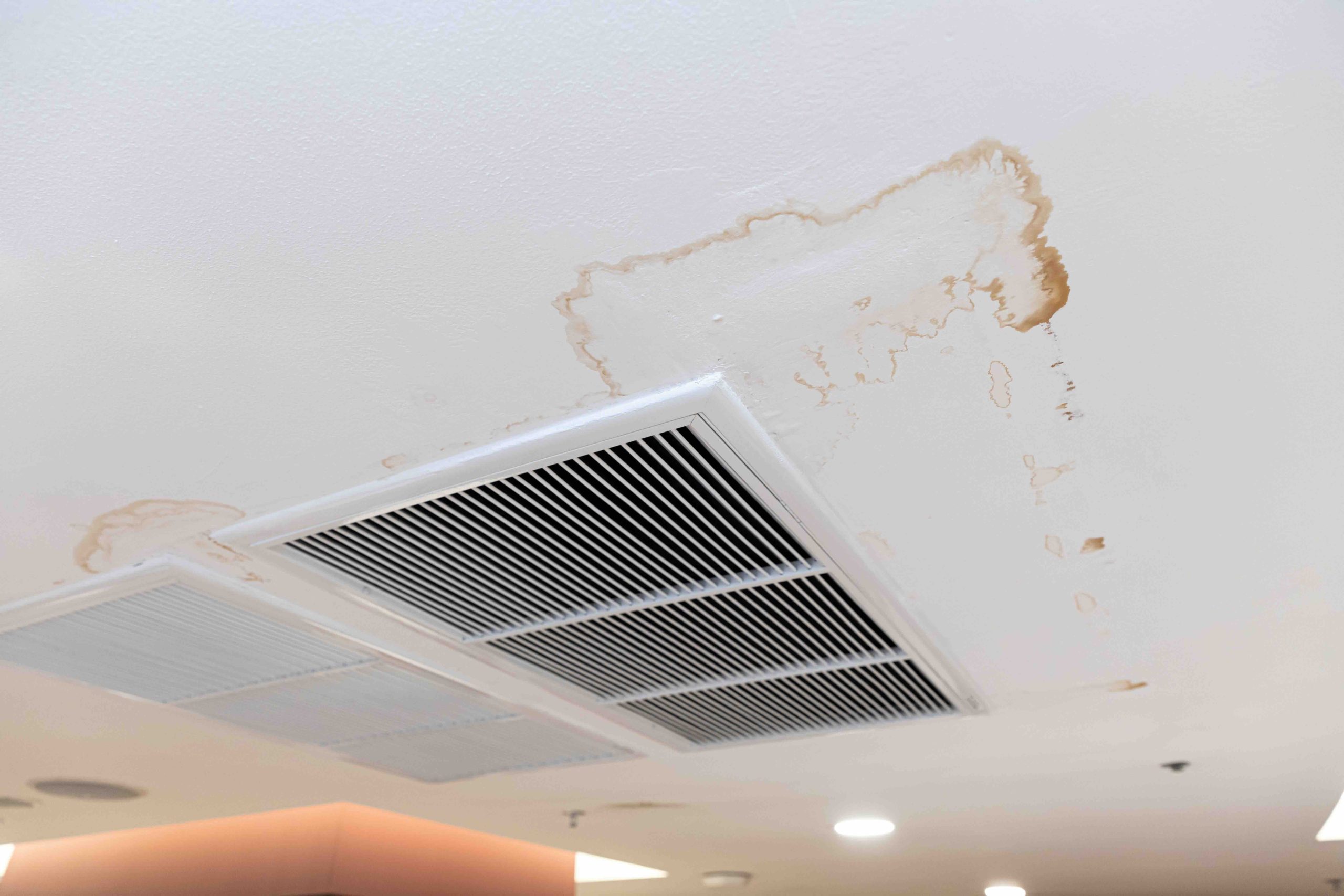 Is Mold on Air Vents Dangerous? What to Know