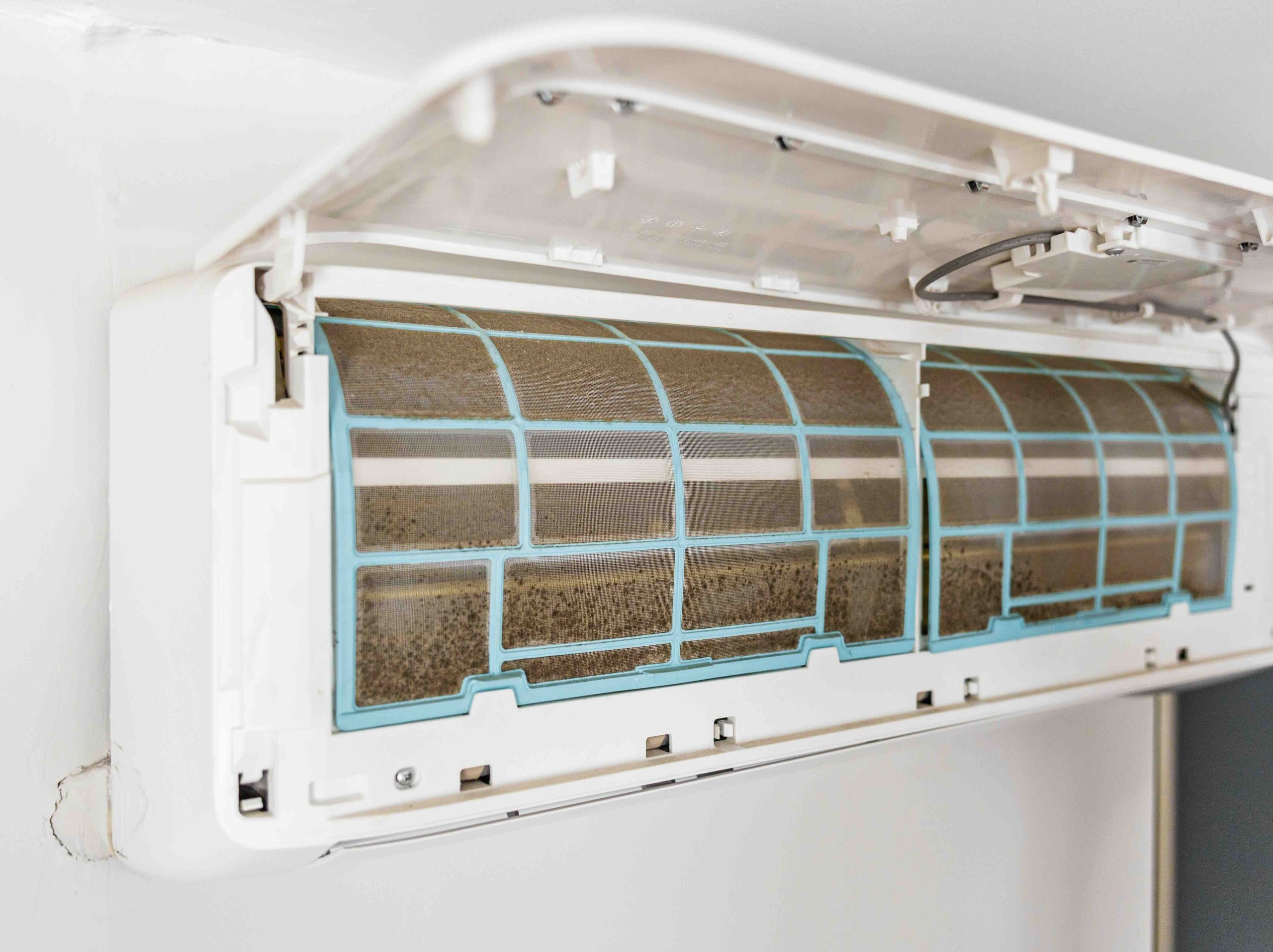 Mold in Your Air Handler: Causes, Risks, and Solutions