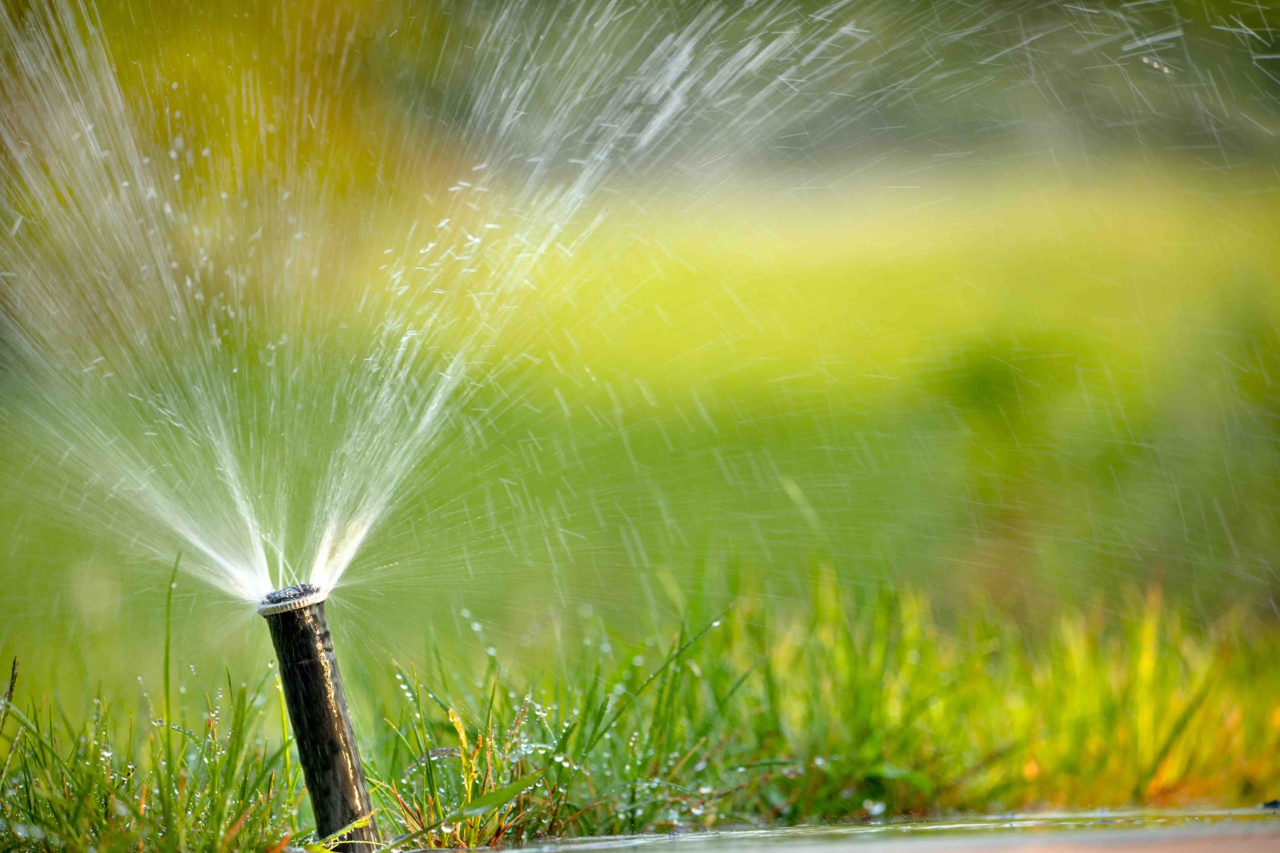 Sprinkler Leak Detection: Signs, Causes, and Fixes