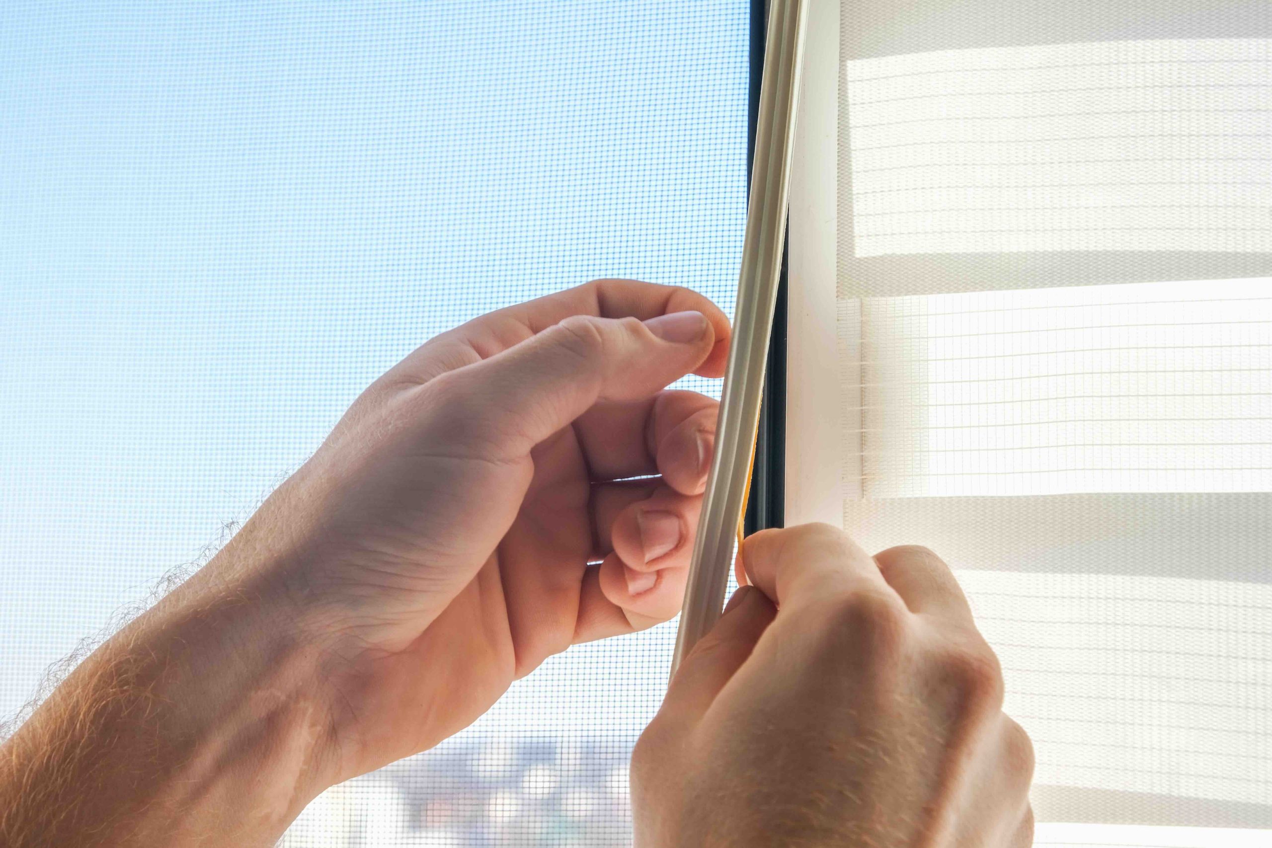Felt Weatherstrip for Doors: What You Need to Know
