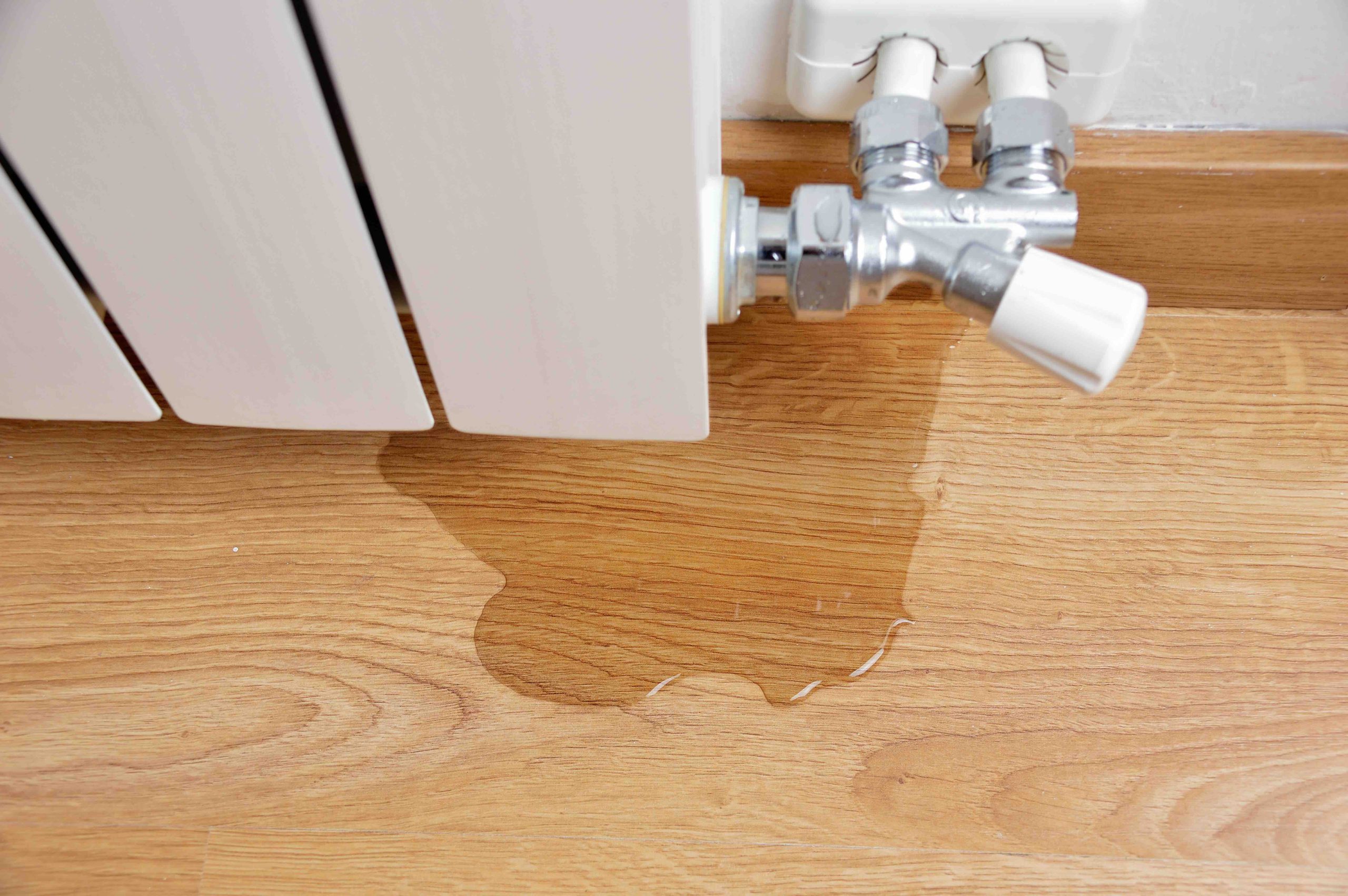 How to Locate a Water Leak Before It Costs You