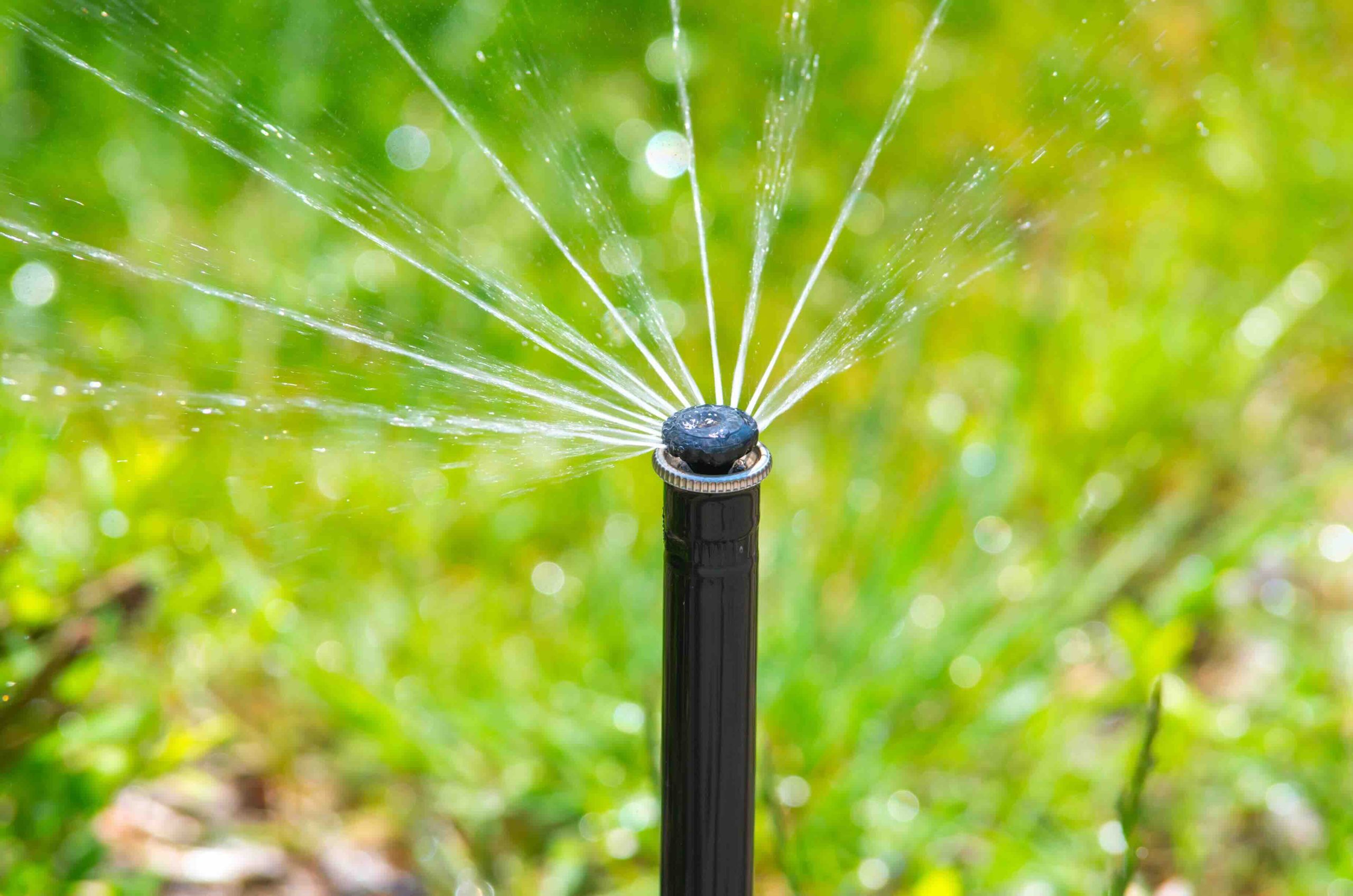 Sprinkler Leak Repair Costs: What Homeowners Should Know