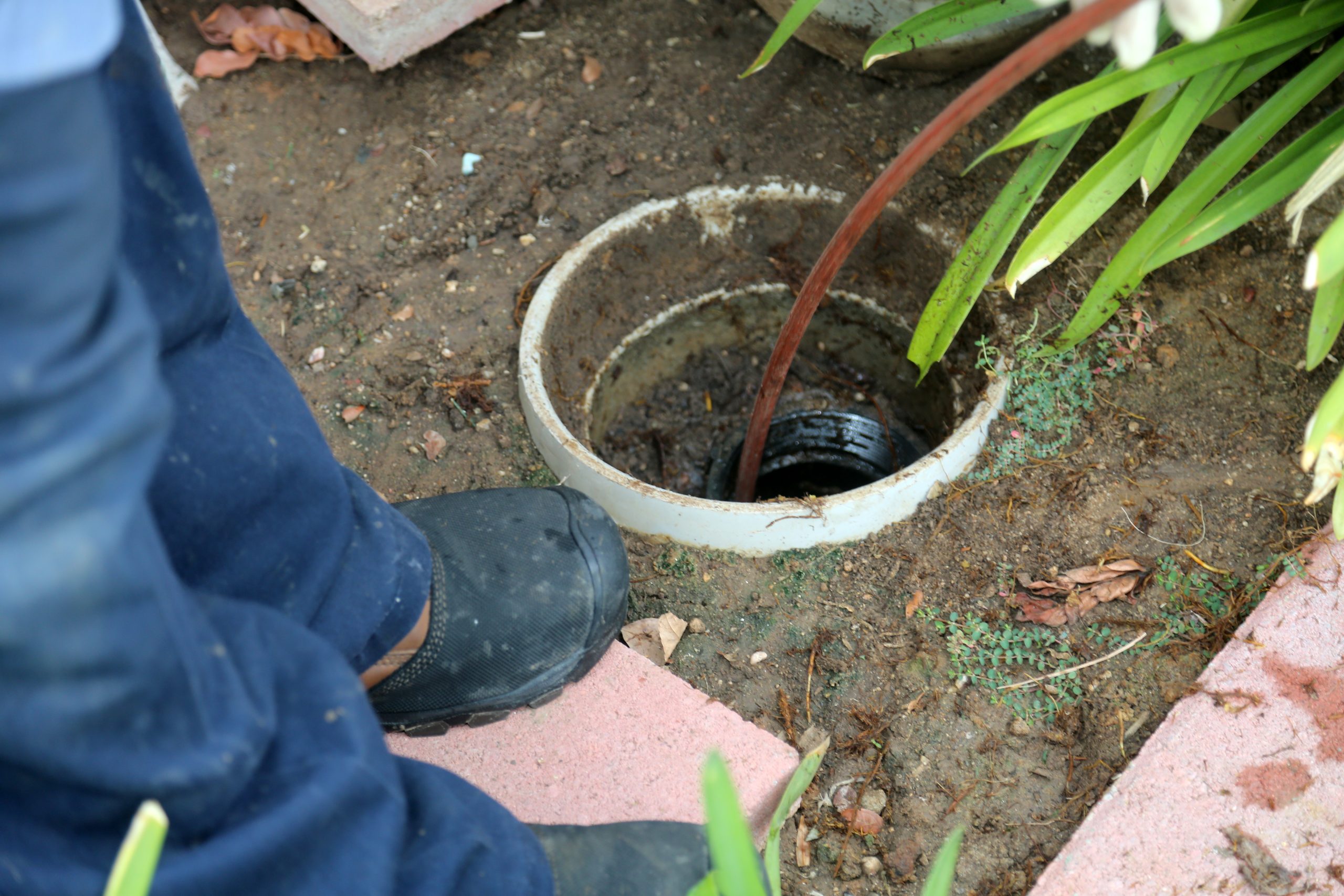 What Is Sewer Line Snaking