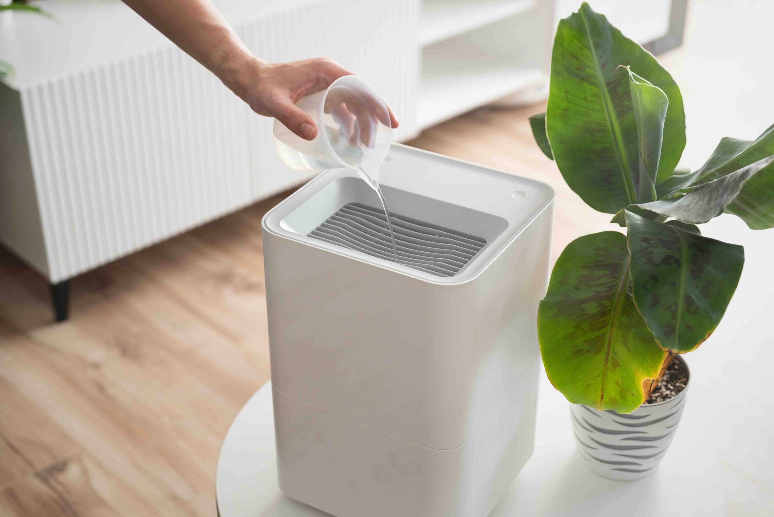 Will a Dehumidifier Stop Condensation on Ductwork?