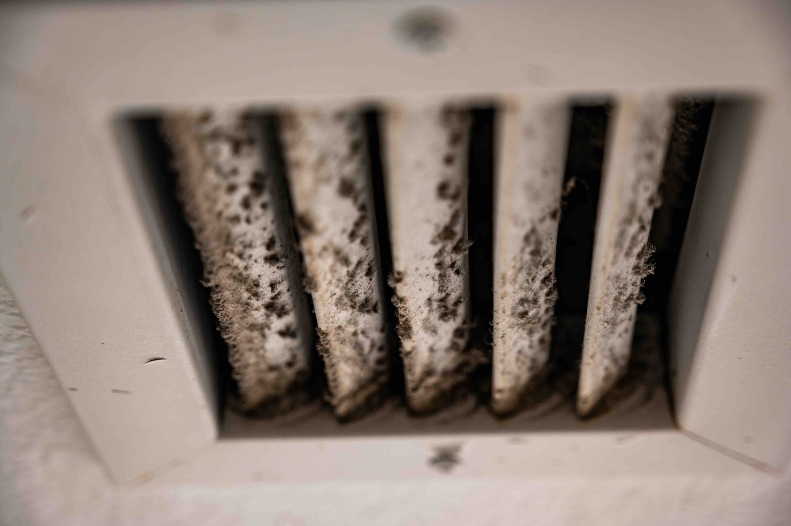 Mold in Your Ventilation System: What Homeowners Must Know