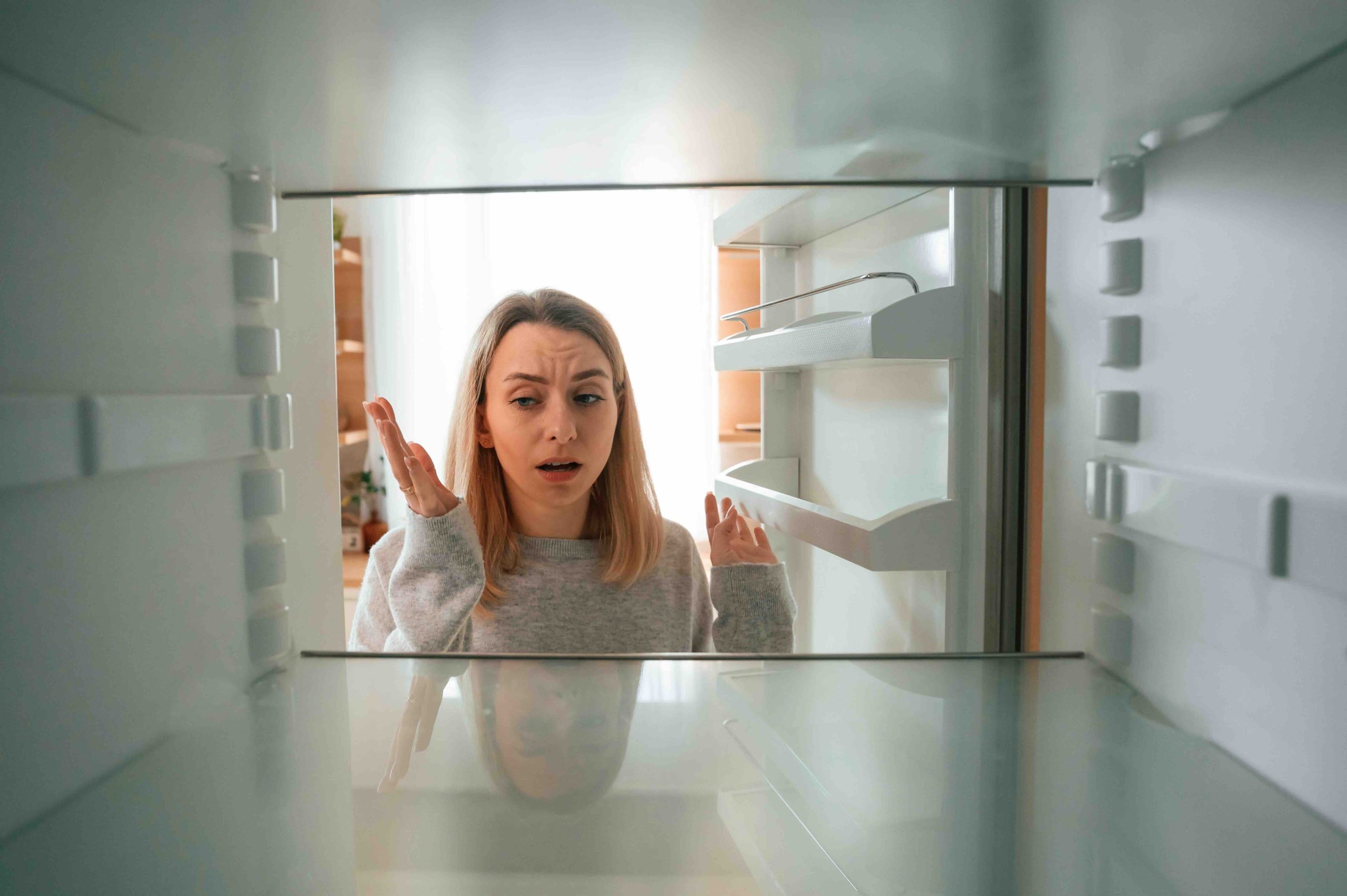 Refrigerator Light Burned Out? Here Is What to Know
