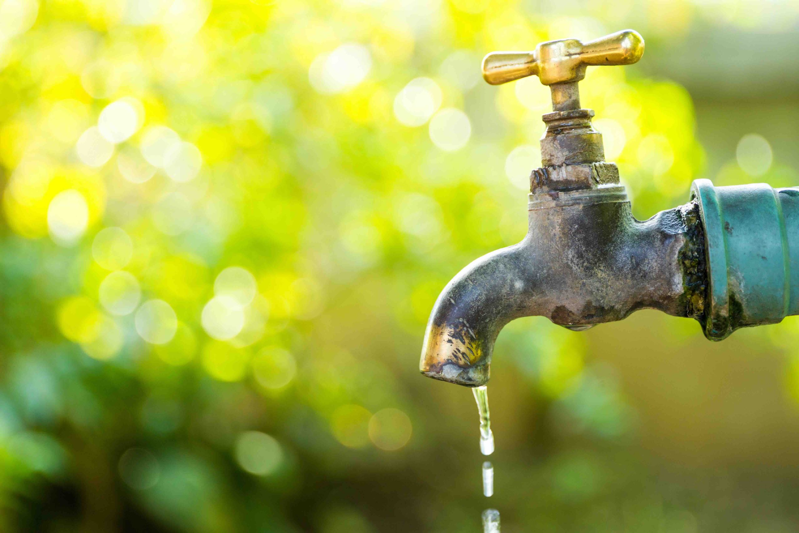 What Is an Outdoor Faucet Called? Hose Bibs Explained