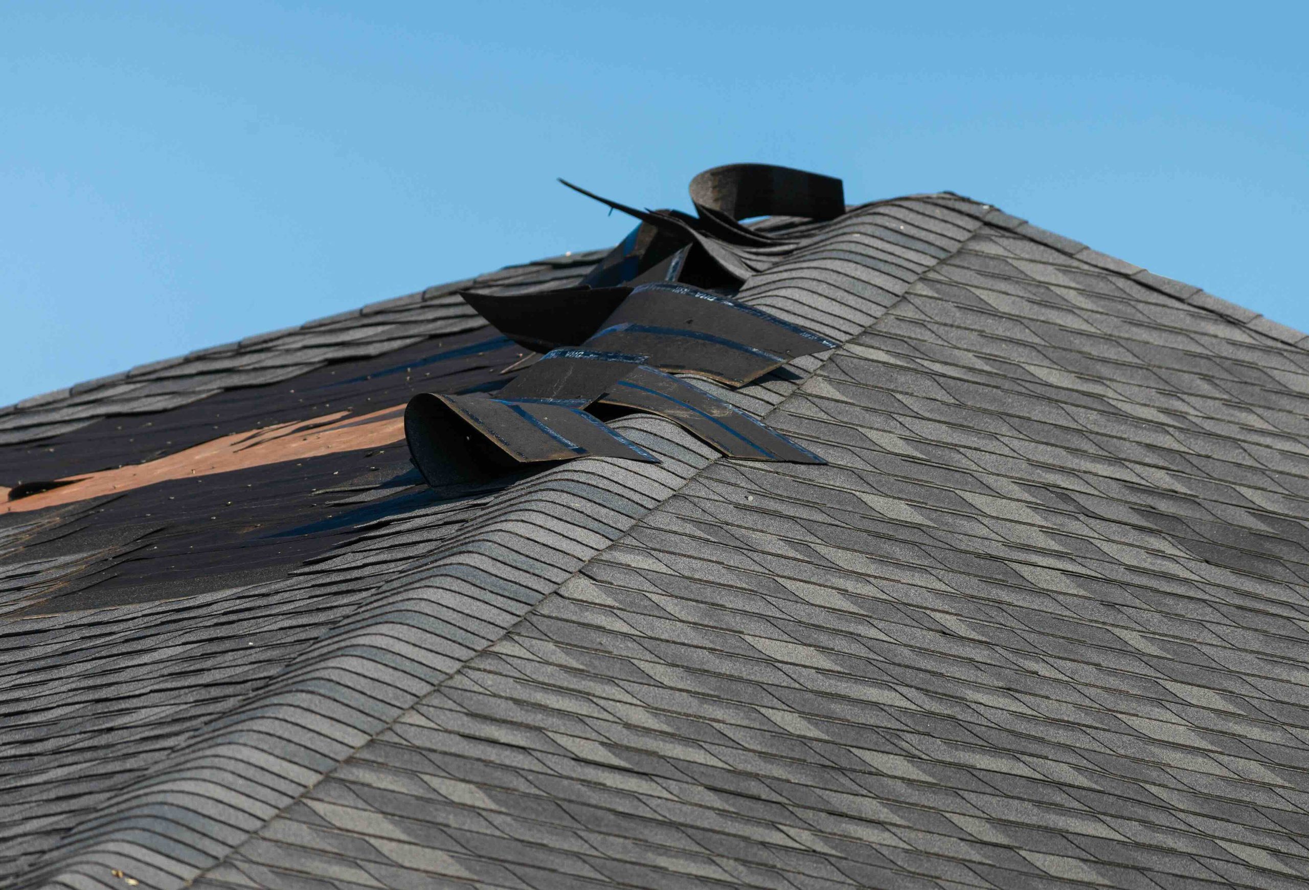 Roof Damage: What Every Homeowner Needs to Know