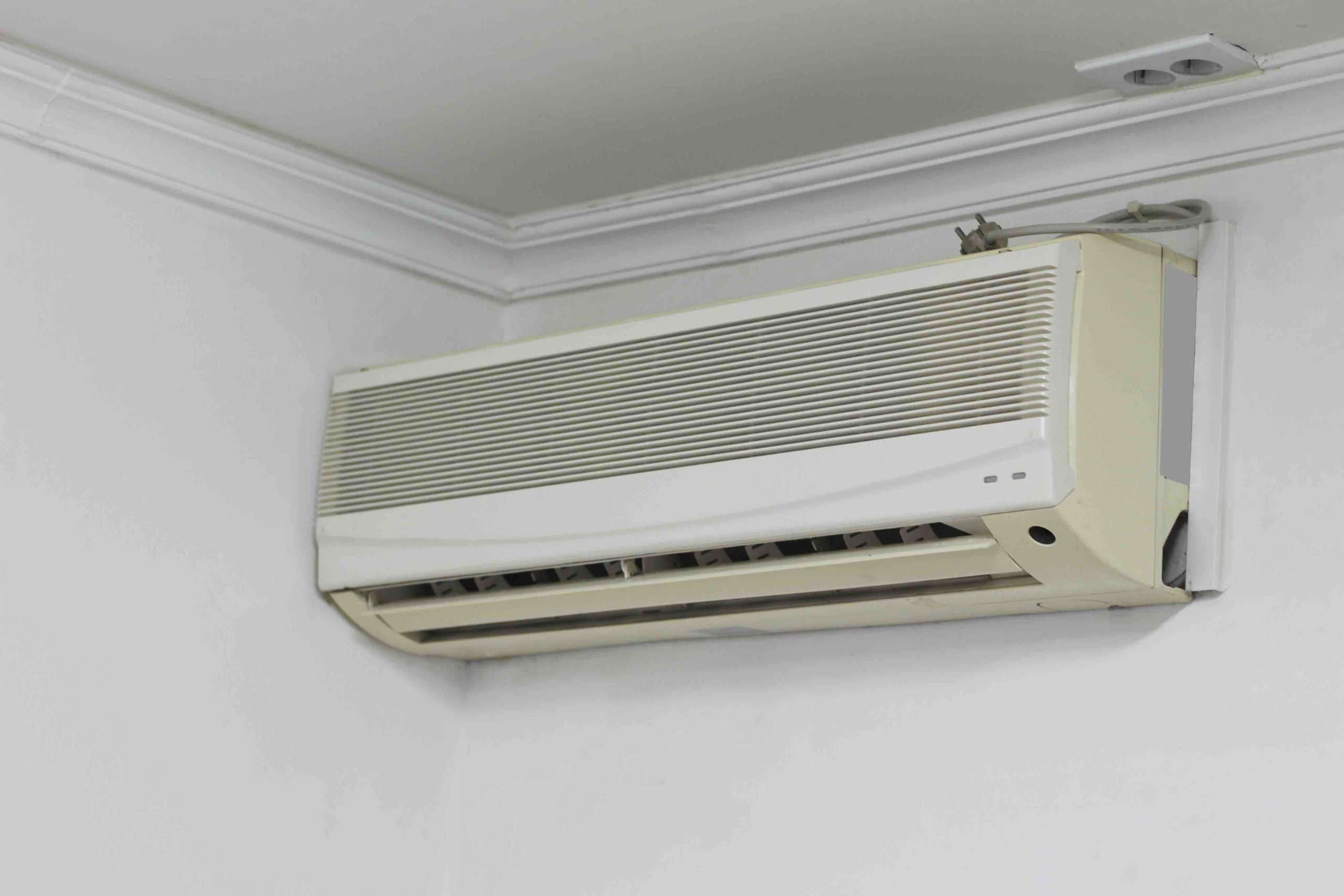 Black Mold in AC Units: What Homeowners Need to Know