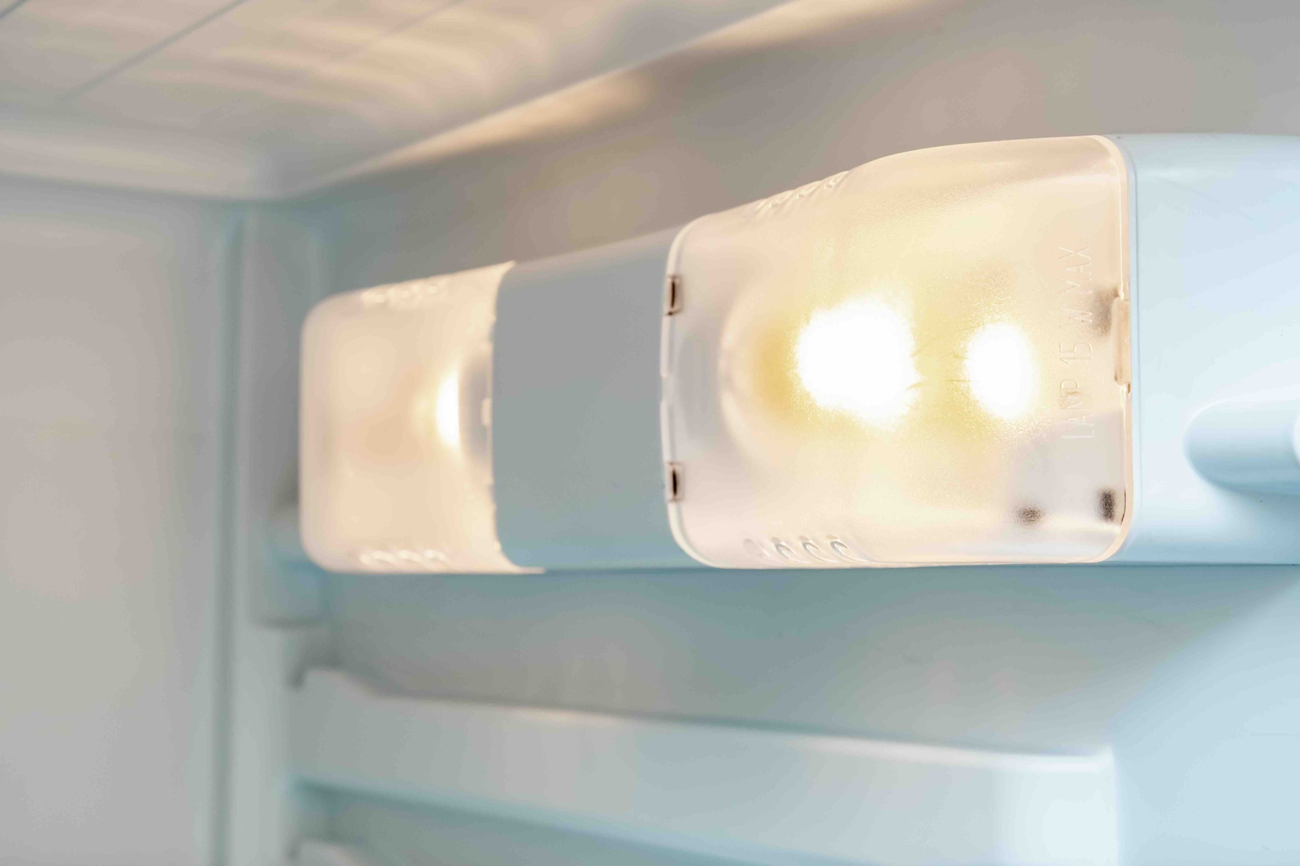 Fridge Lamp 40W: What Every Homeowner Should Know