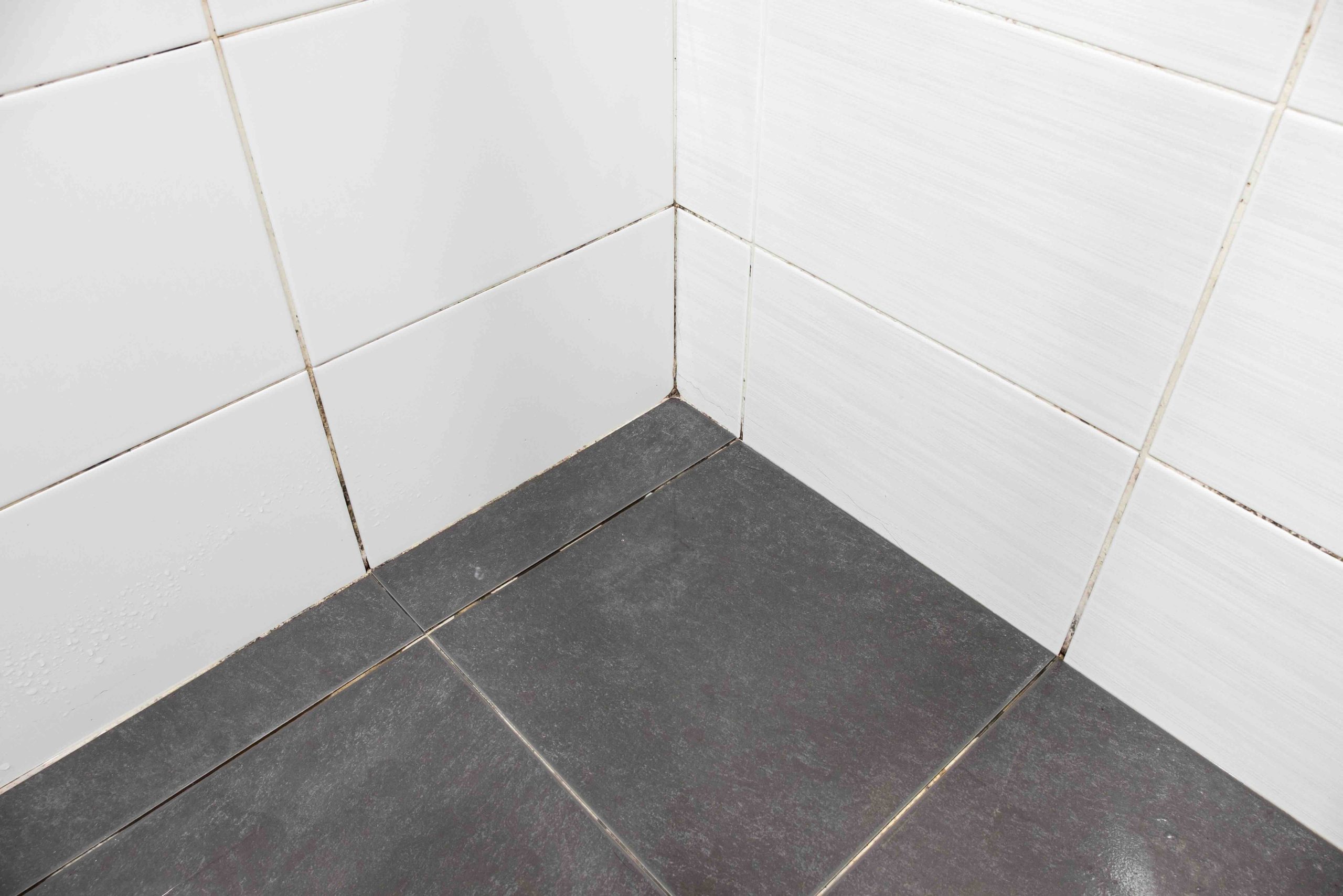 Grout Dry Time Shower: When Is It Safe to Use?