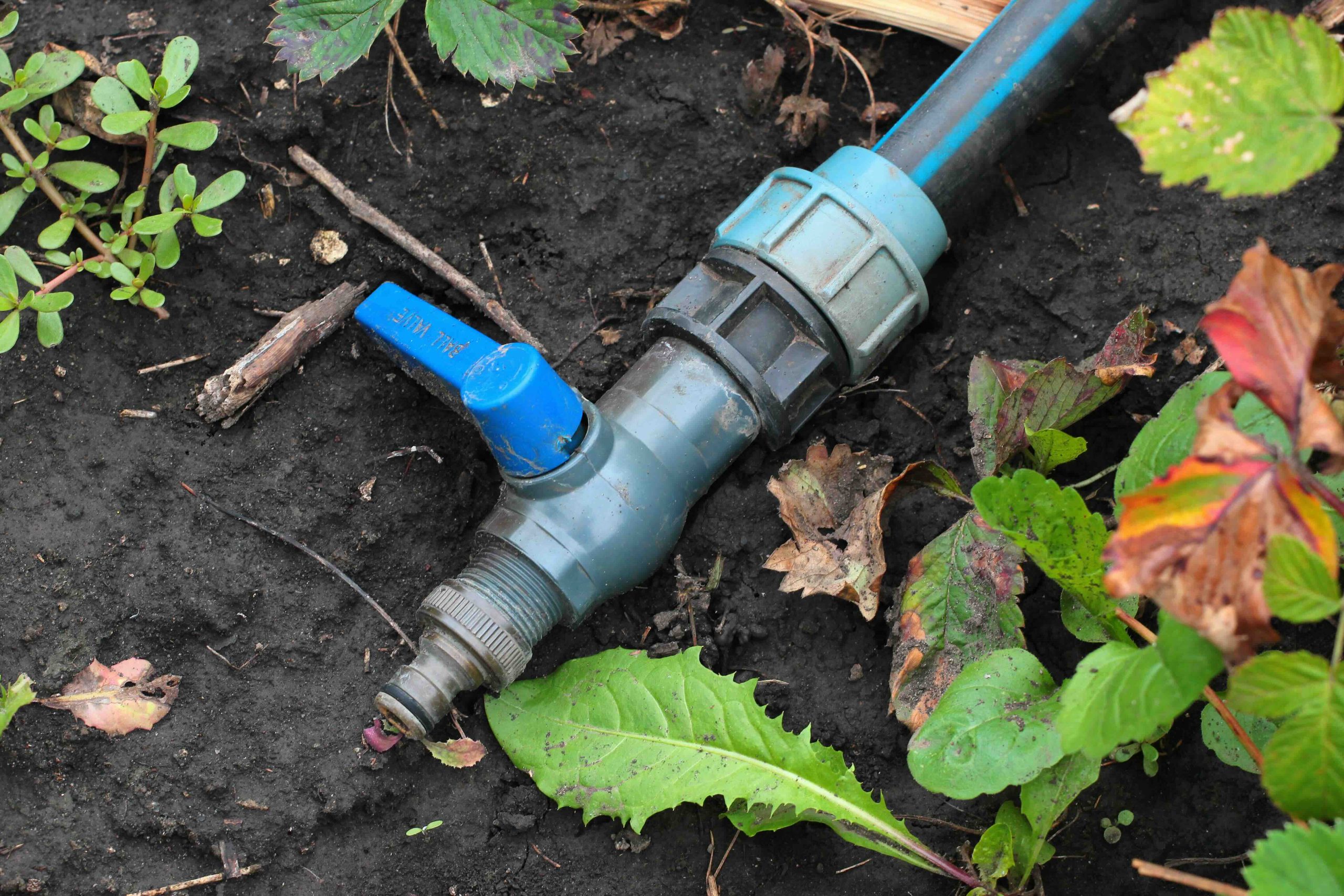 How to Replace a Sprinkler Valve: Costs and Tips