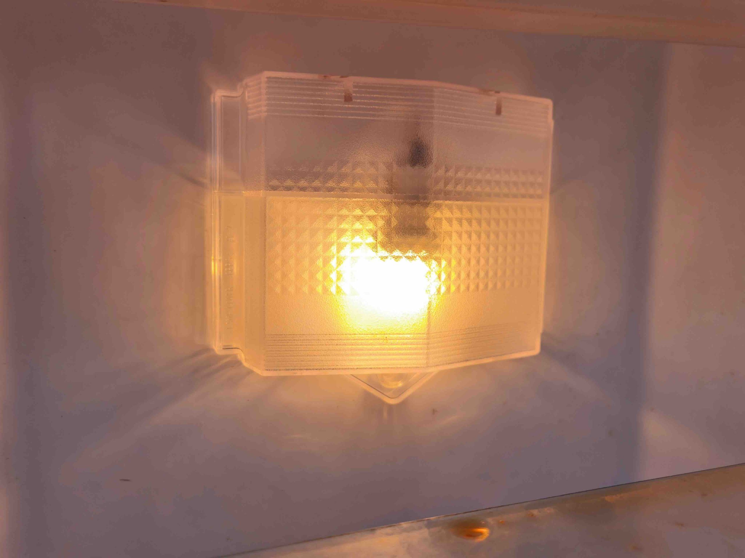 LED Refrigerator Bulbs: What You Need to Know